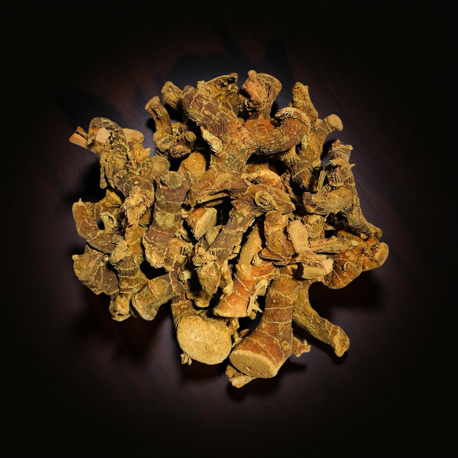 Galangalwurzel · getrocknete Stücke