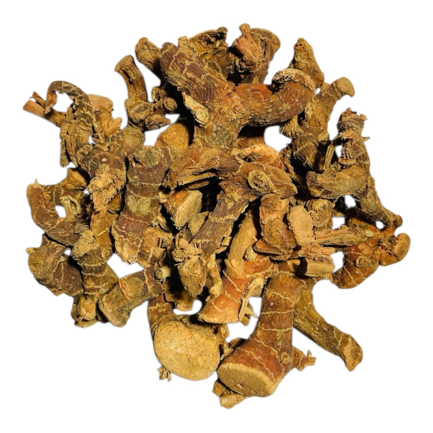 Galangalwurzel · getrocknete Stücke