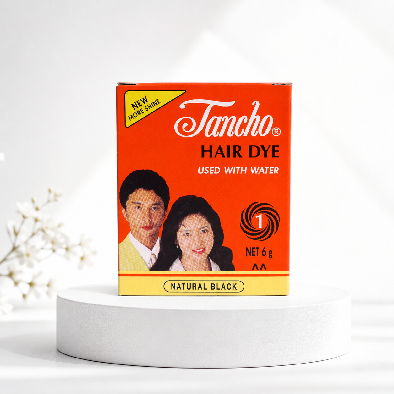 Bigen Henna Haarfarbe Natural Black 6g
