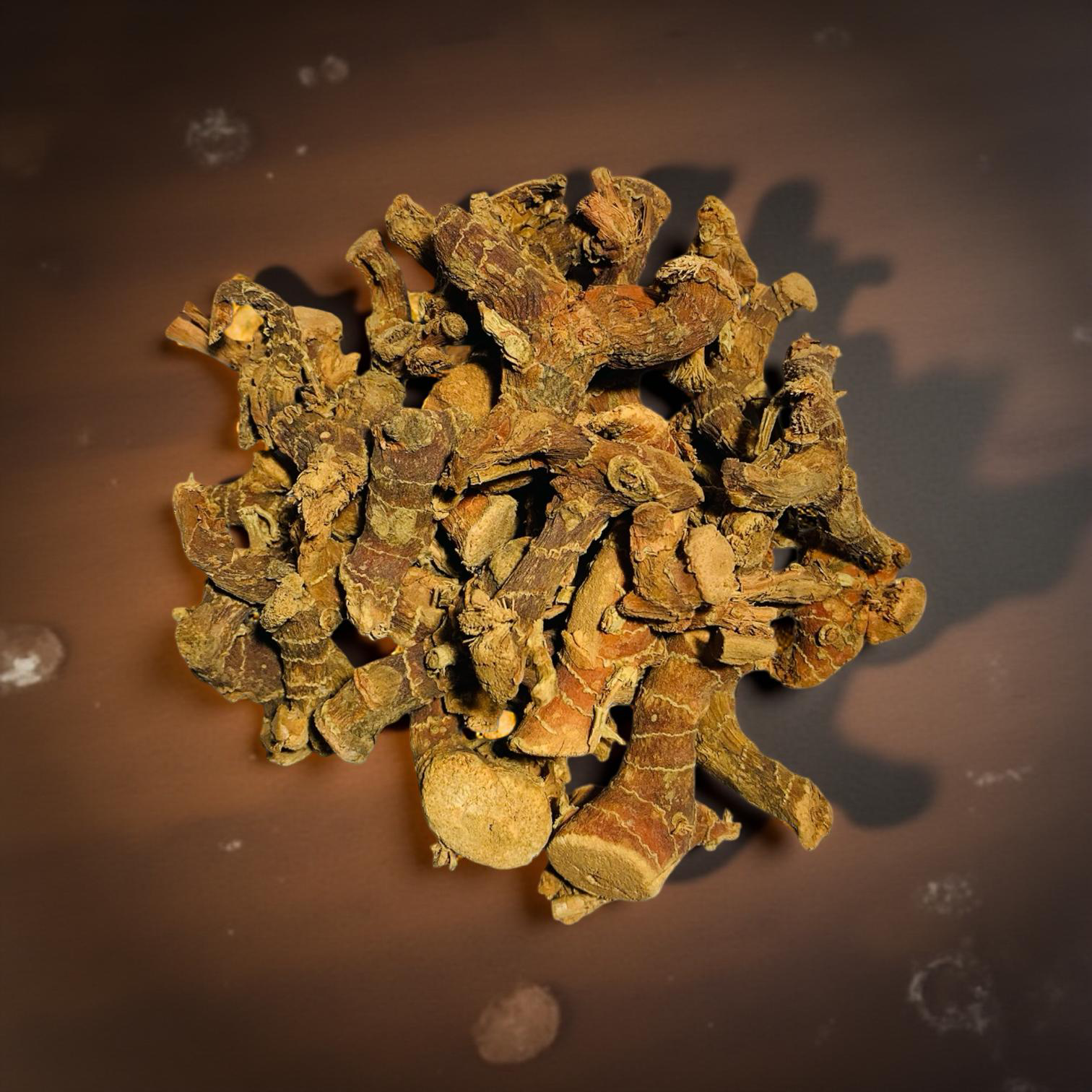 Galangalwurzel · getrocknete Stücke